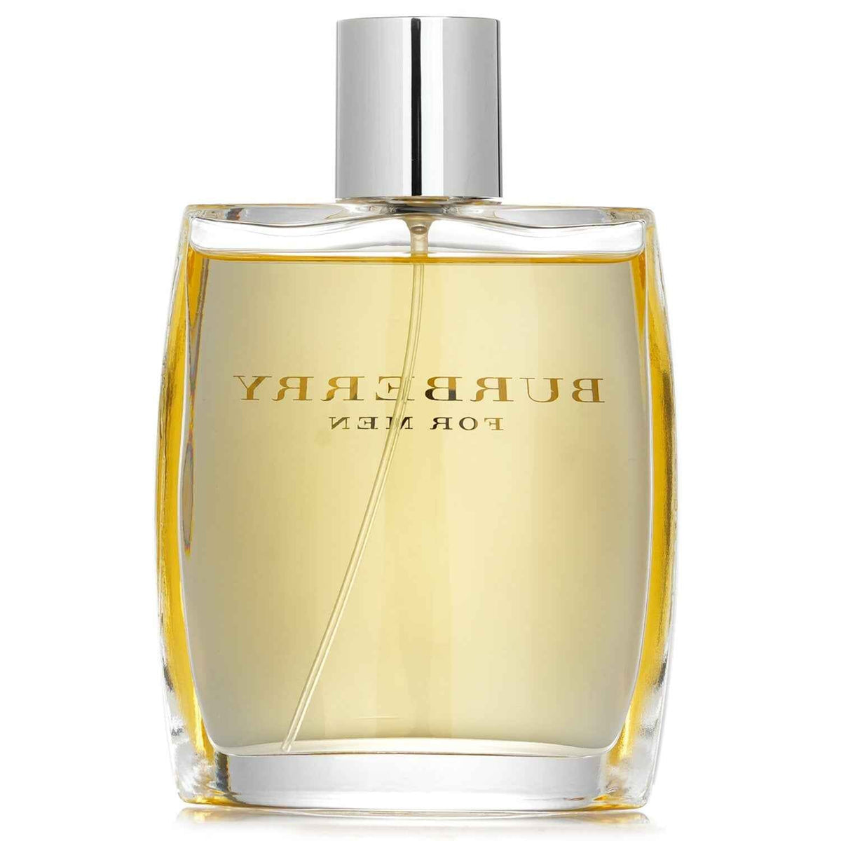 Burberry Eau de Toilette 100mL