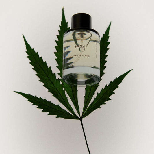 Solid State Hash Extrait De Parfum 50mL - Solid State - The Perfume Company