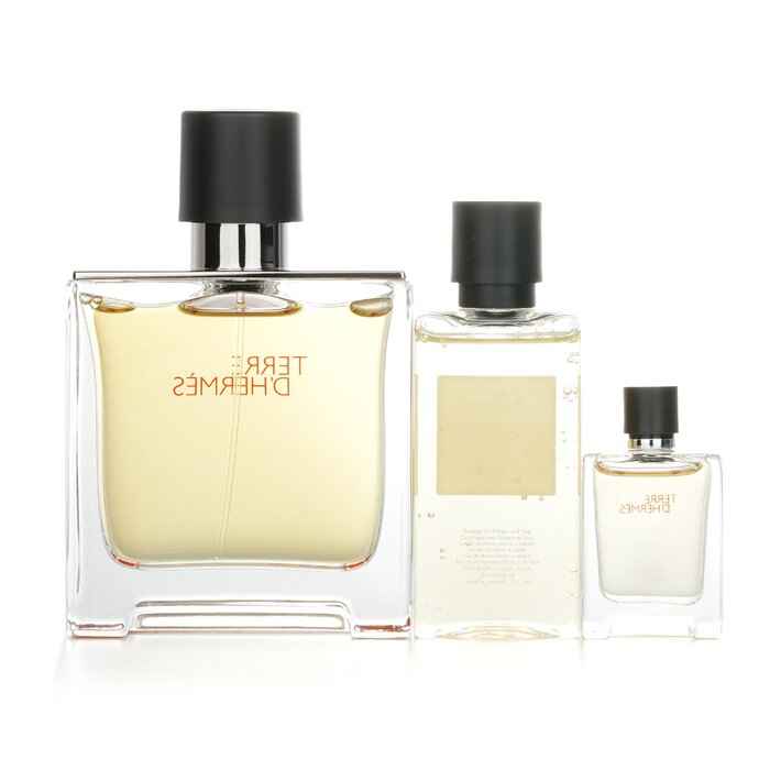 Hermès Terre d'Hermès Pure Gift Set 75mL + 5mL + 40mL Shower Gel