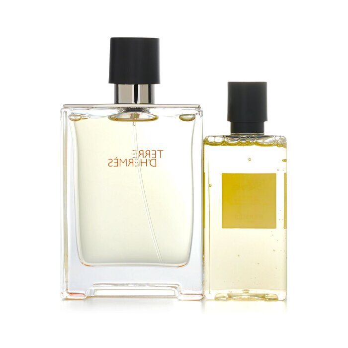 Hermès Terre d'Hermès Eau de Toilette Gift Set 100mL + 80mL Shower Gel
