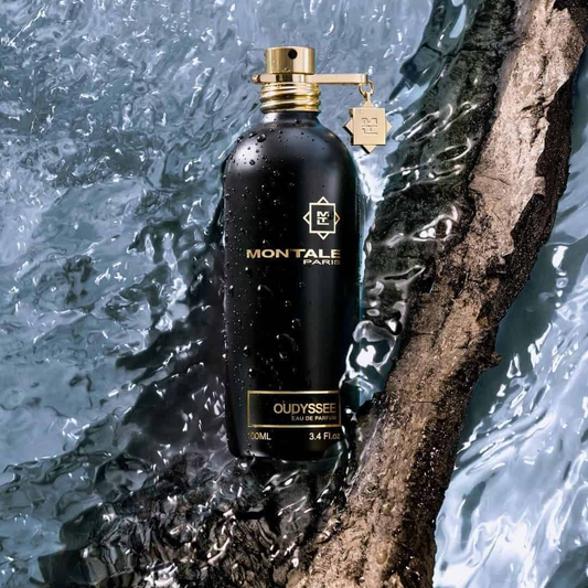 Montale Oud Dream Eau de Parfum 100mL