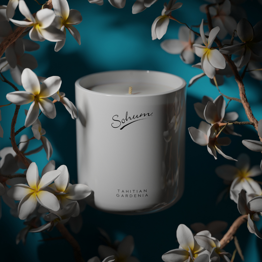 Candle - Sohum - Sohum Tahitian Gardenia Signature Candle 100g - The Gift Company
