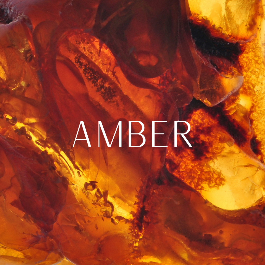 Amber & Spiced Perfumes