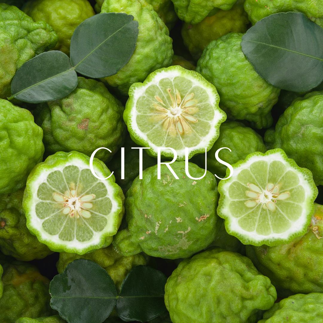 Citrus & Fresh Perfumes