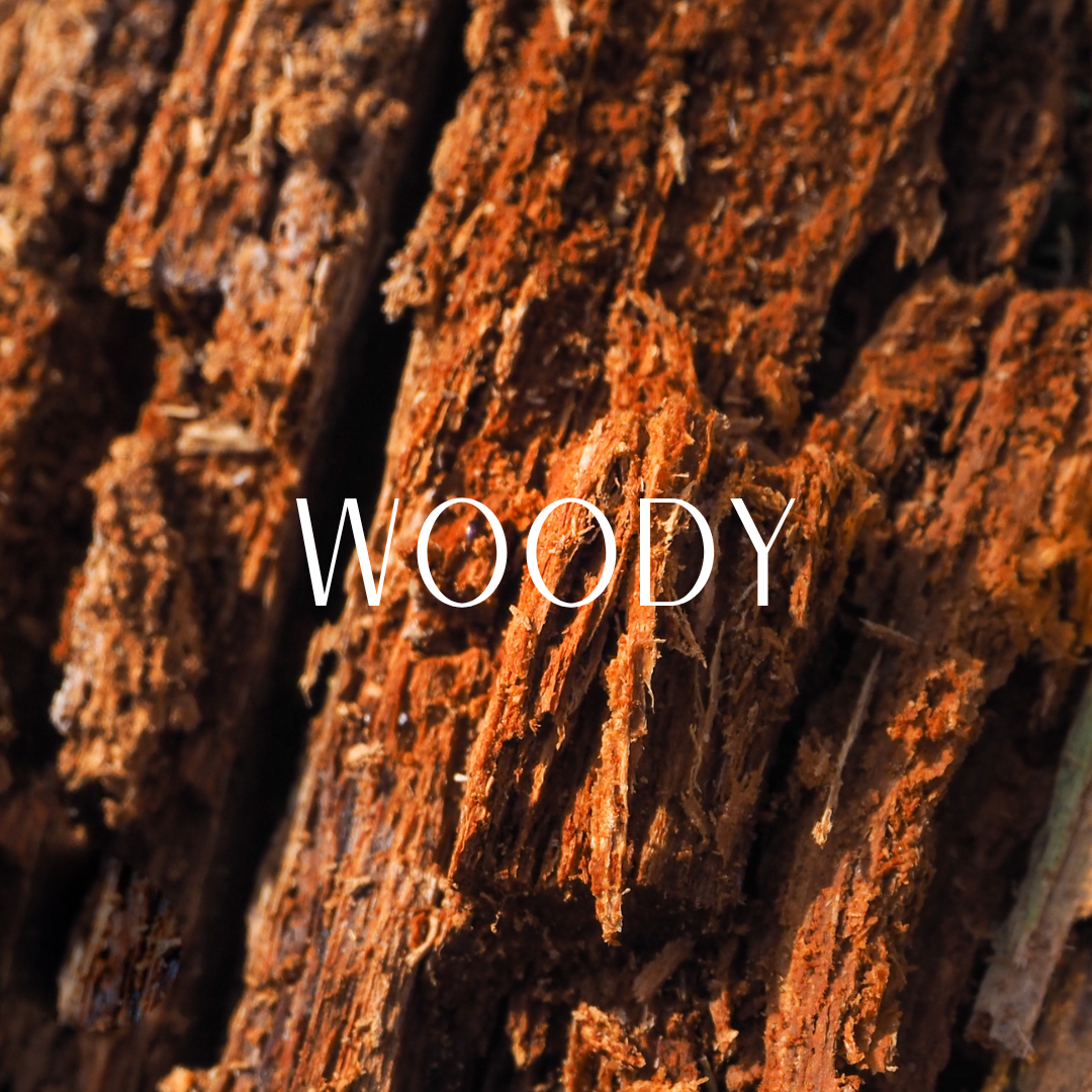 Woody Perfumes & Fragrances