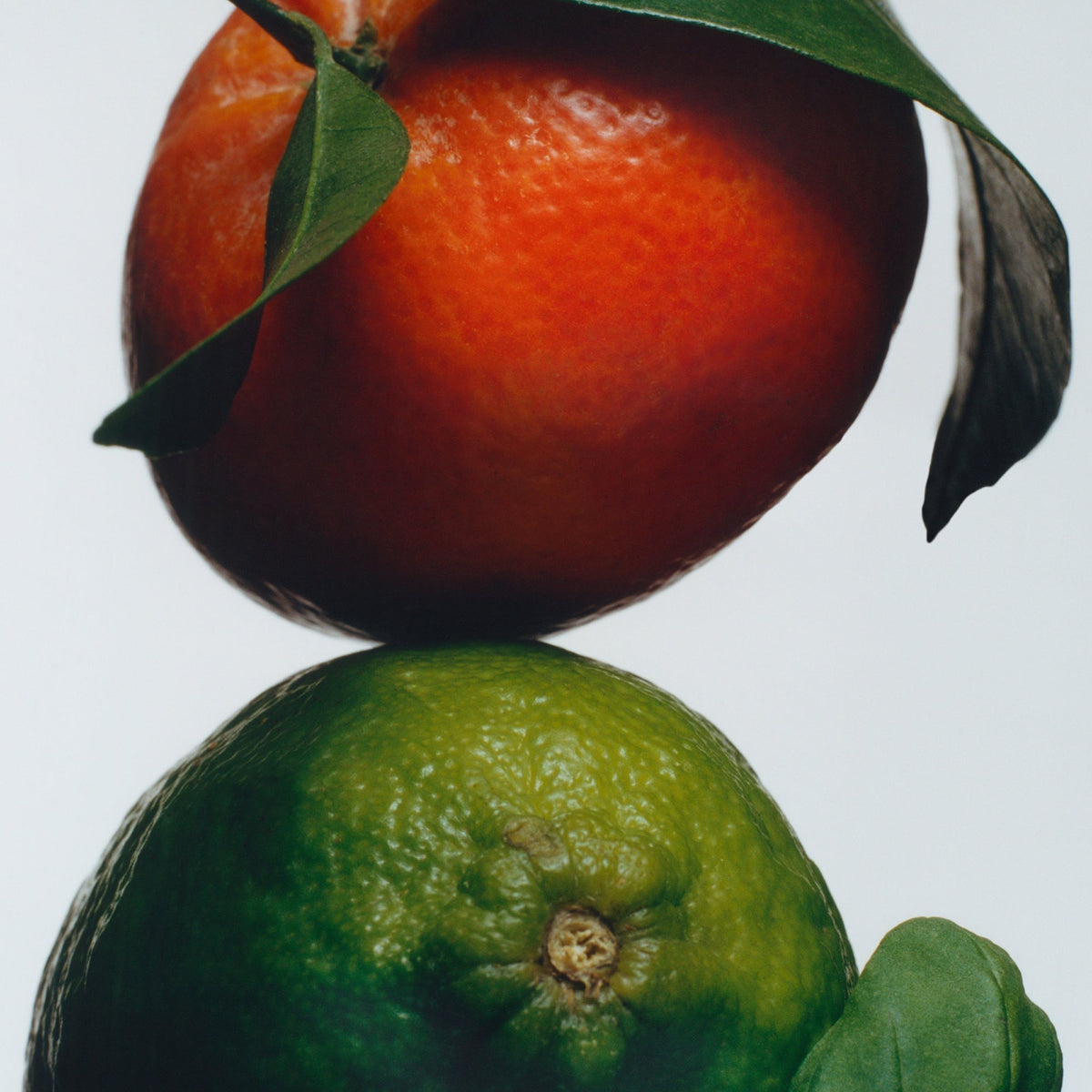 Jo Malone London Lime Basil & Mandarin Cologne detail image