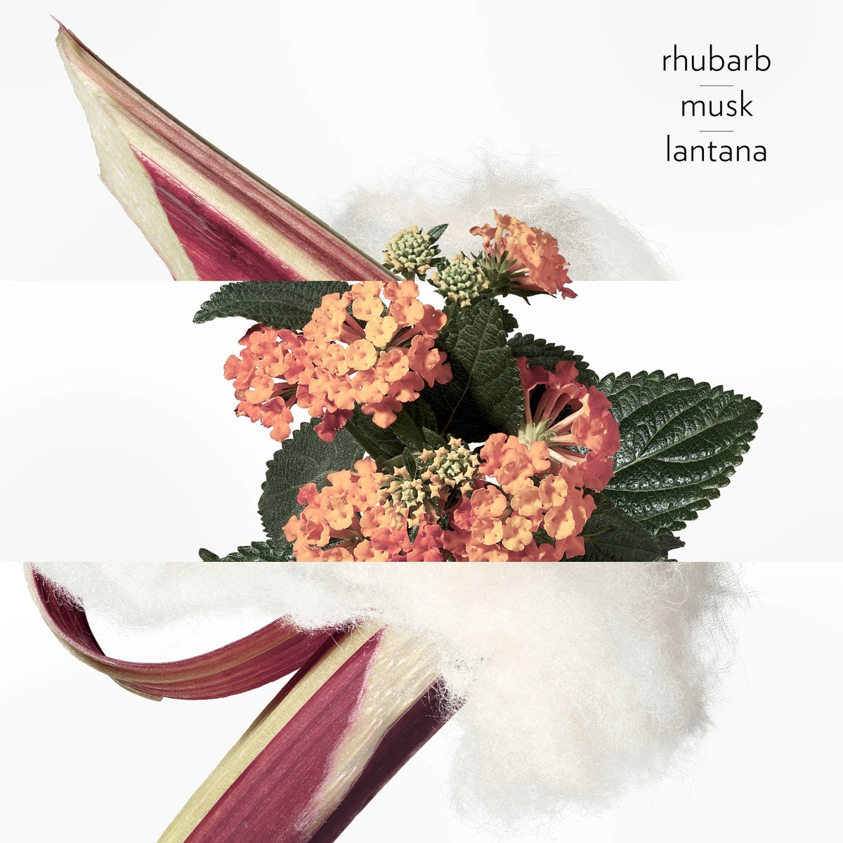 Hermès Eau de Rhubarbe Écarlate Eau de Cologne 100mL