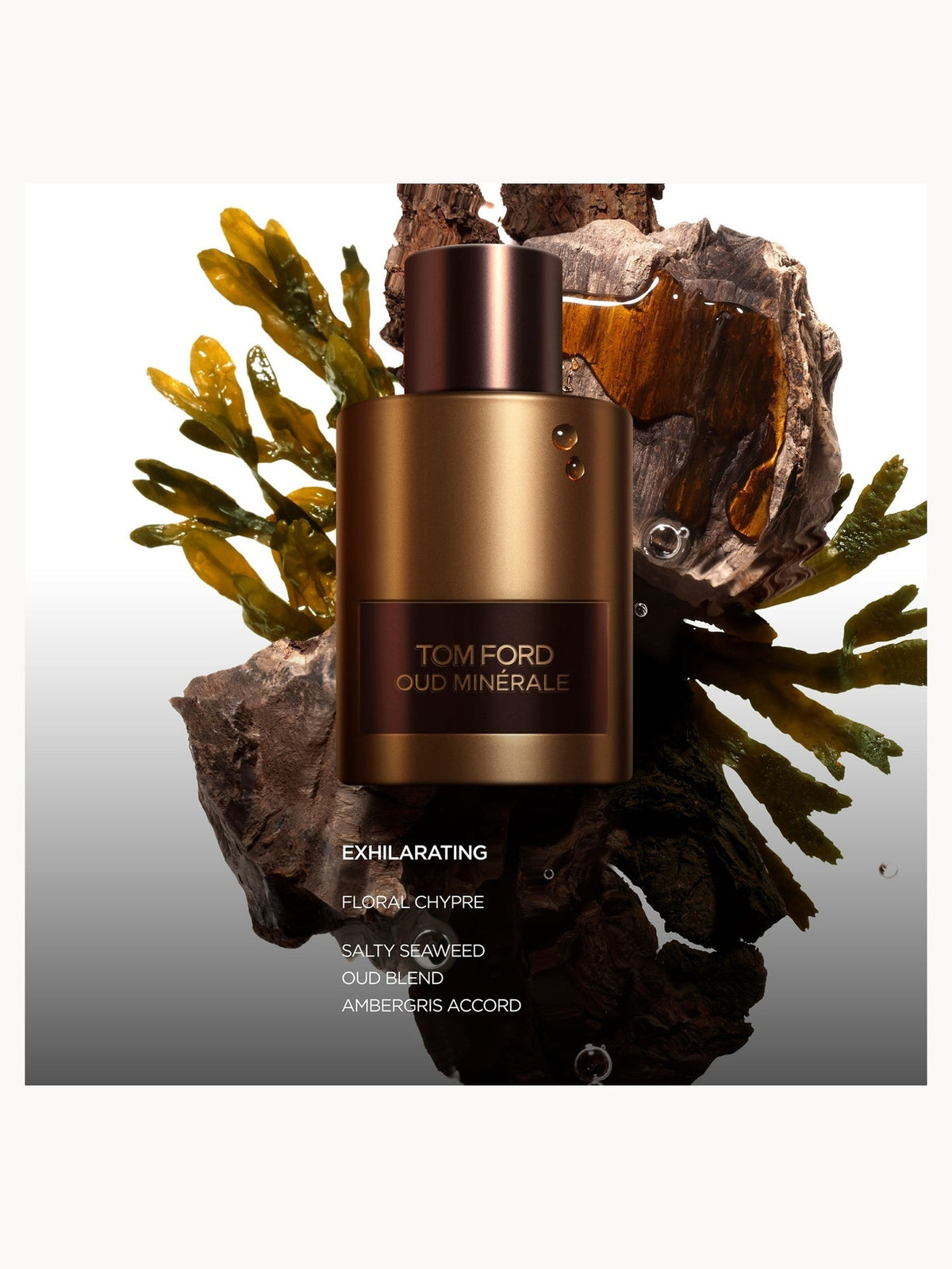 Tom Ford Oud Minérale Eau de Parfum 100mL box