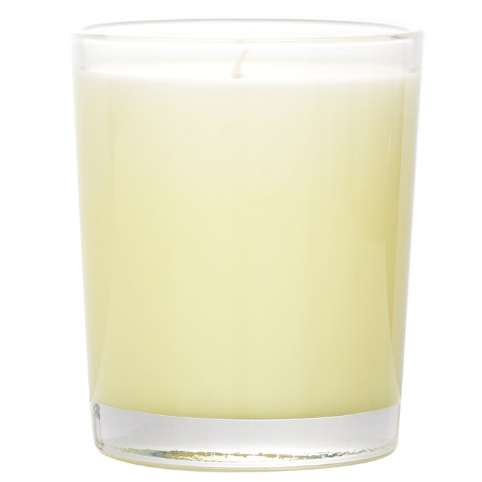 Diptyque Tubereuse Scented Candle 190g - product view 3