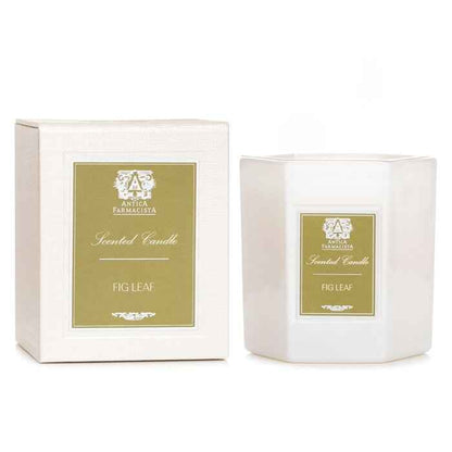 Antica Farmacista Fig Leaf Scented Candle 255g