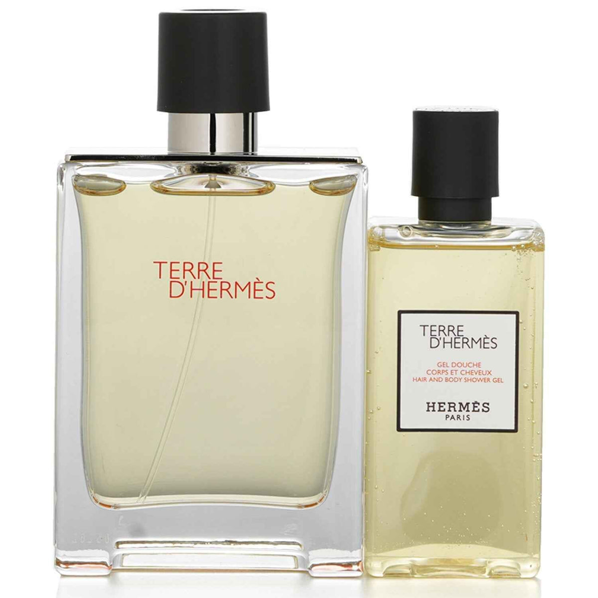 Hermès Terre d'Hermès Coffret: Eau de Toilette 100mL + Hair and Body Shower Gel 80mL