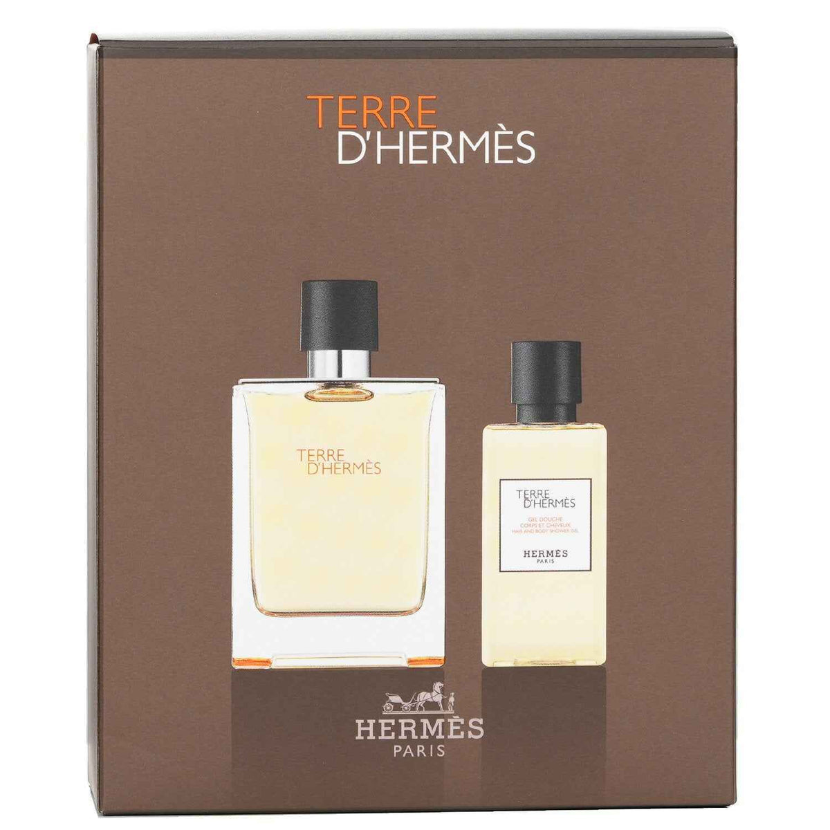 Hermès Terre d'Hermès Coffret: Eau de Toilette 100mL + Hair and Body Shower Gel 80mL