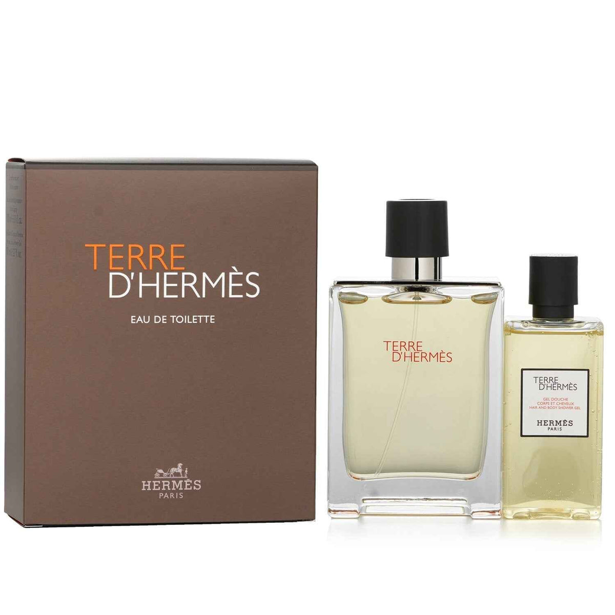 Hermès Terre d'Hermès Coffret: Eau de Toilette 100mL + Hair and Body Shower Gel 80mL