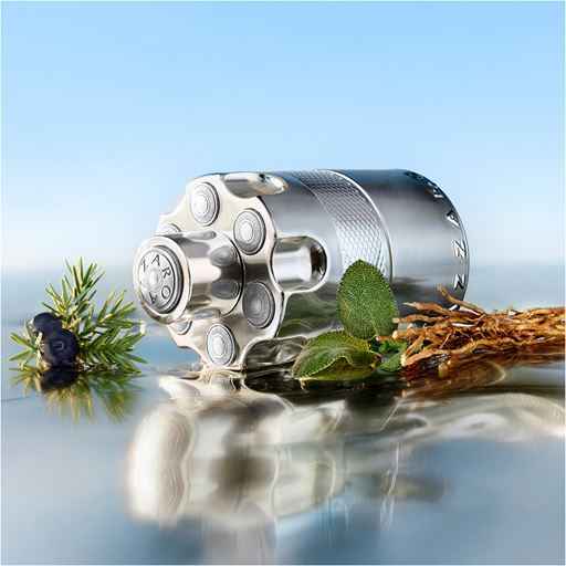 Azzaro Wanted Eau de Parfum 100mL