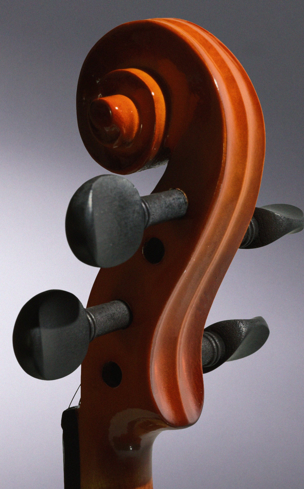 D.S. & Durga Bowmakers official violin workshop story image