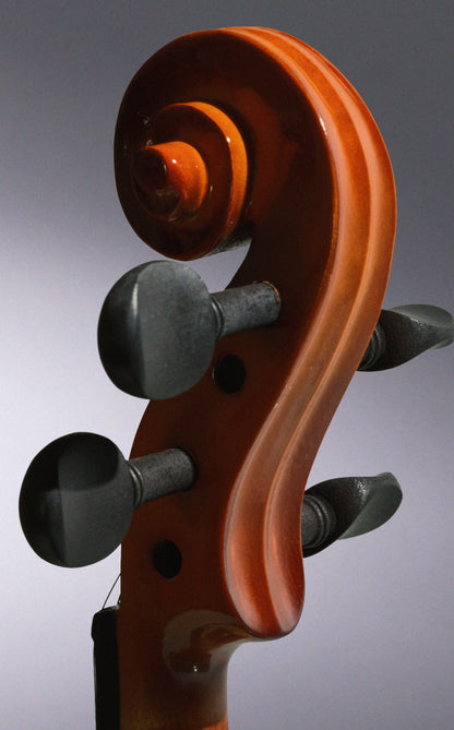 D.S. & Durga Bowmakers official violin workshop story image
