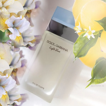 Dolce & Gabbana Light Blue Gift Set 100mL Eau de Toilette + 10mL Travel Spray