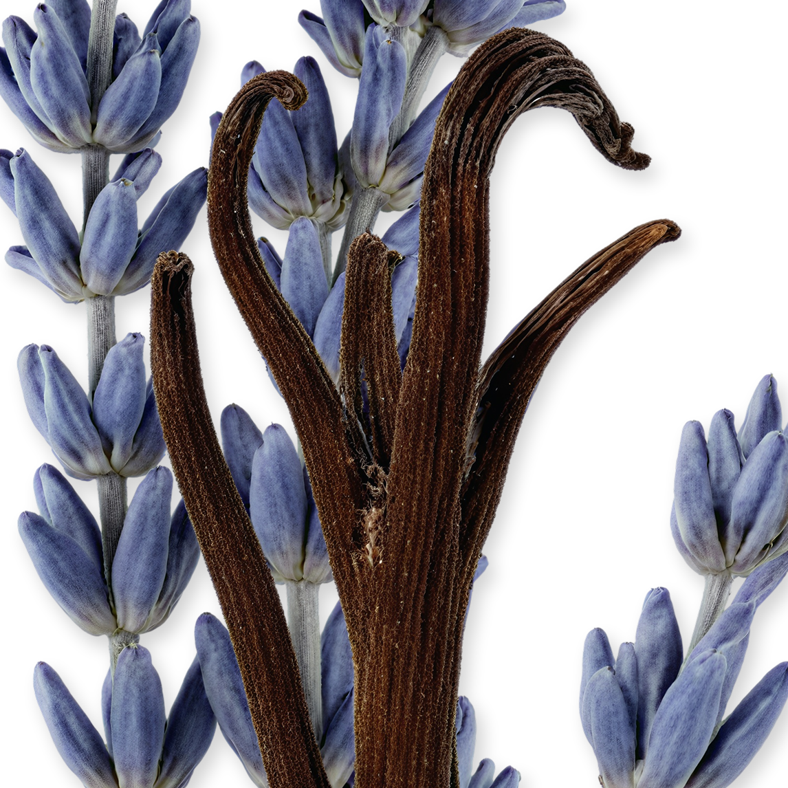 Parfums de Marly Layton Exclusif Eau de Parfum 125mL styled image