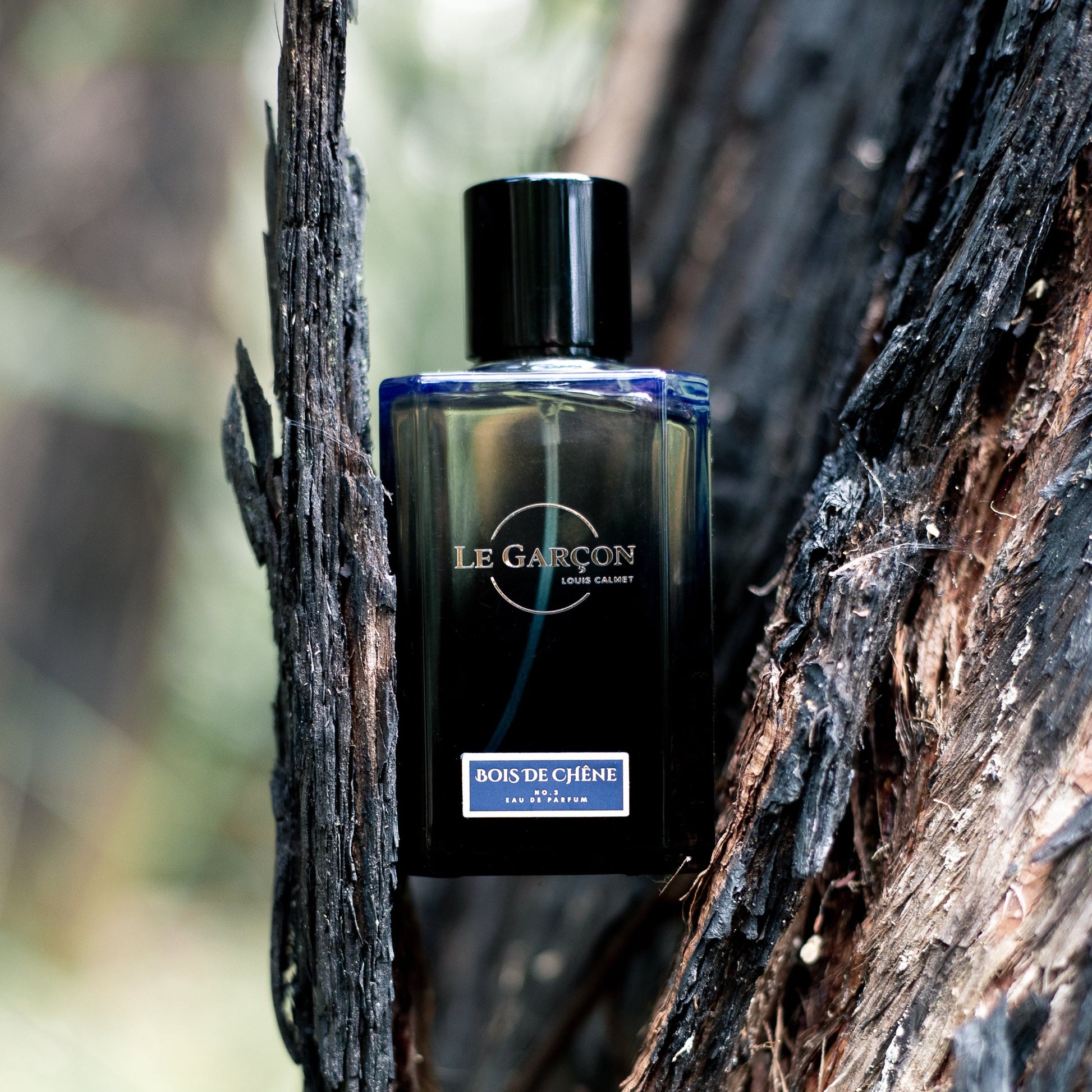Maison Le Garçon Bois De Chêne No.3 Eau de Parfum 100mL product image 3