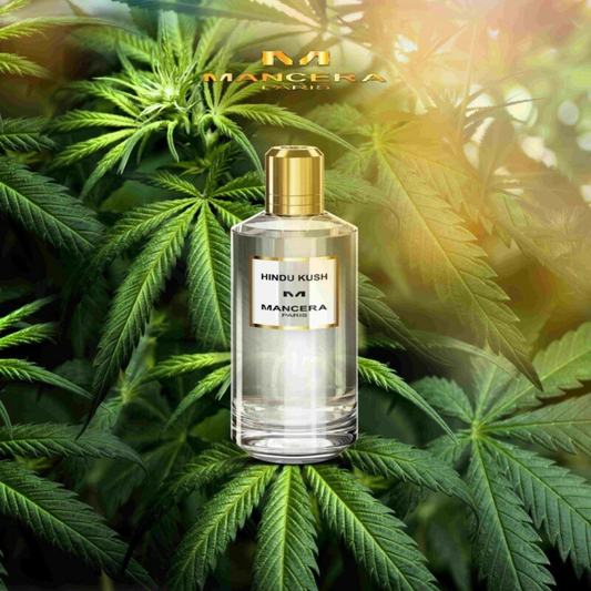 Mancera Hindu Kush Eau de Parfum 120mL - The Perfume Company