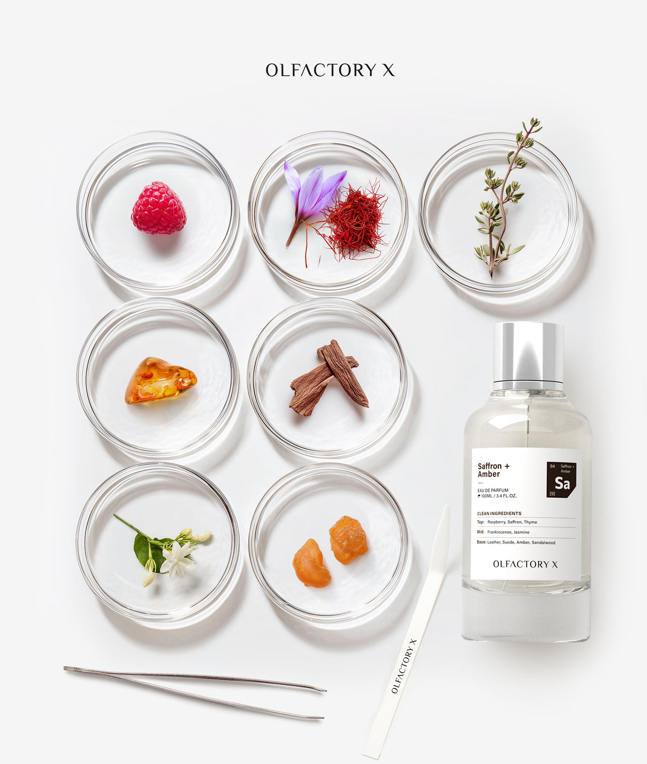 OLFACTORY X Saffron + Amber Eau de Parfum 100mL
