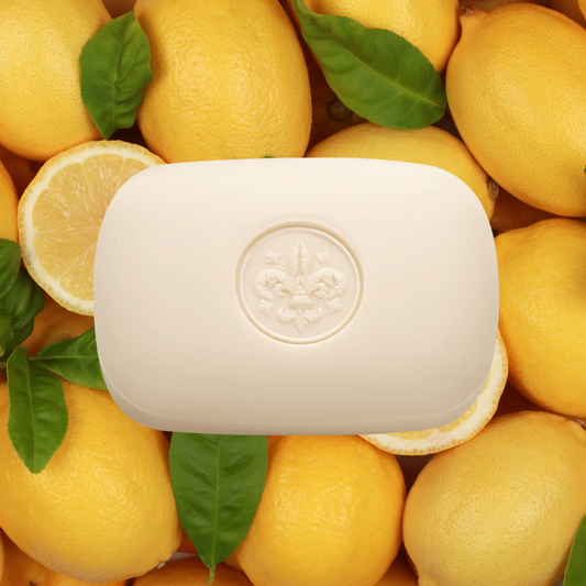 Bath Soap Bar - Saponificio Artigianale Fiorentino - Saponificio Artigianale Fiorentino Lemon Bar Soap Set of 12 x 200g - The Gift Company