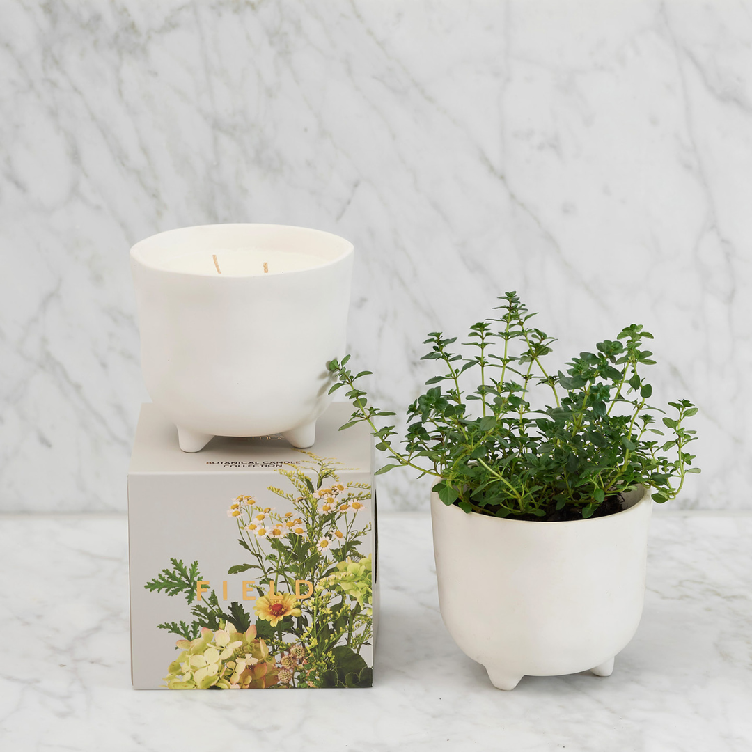 Myrtle & Moss Botanical Candle Field 500g