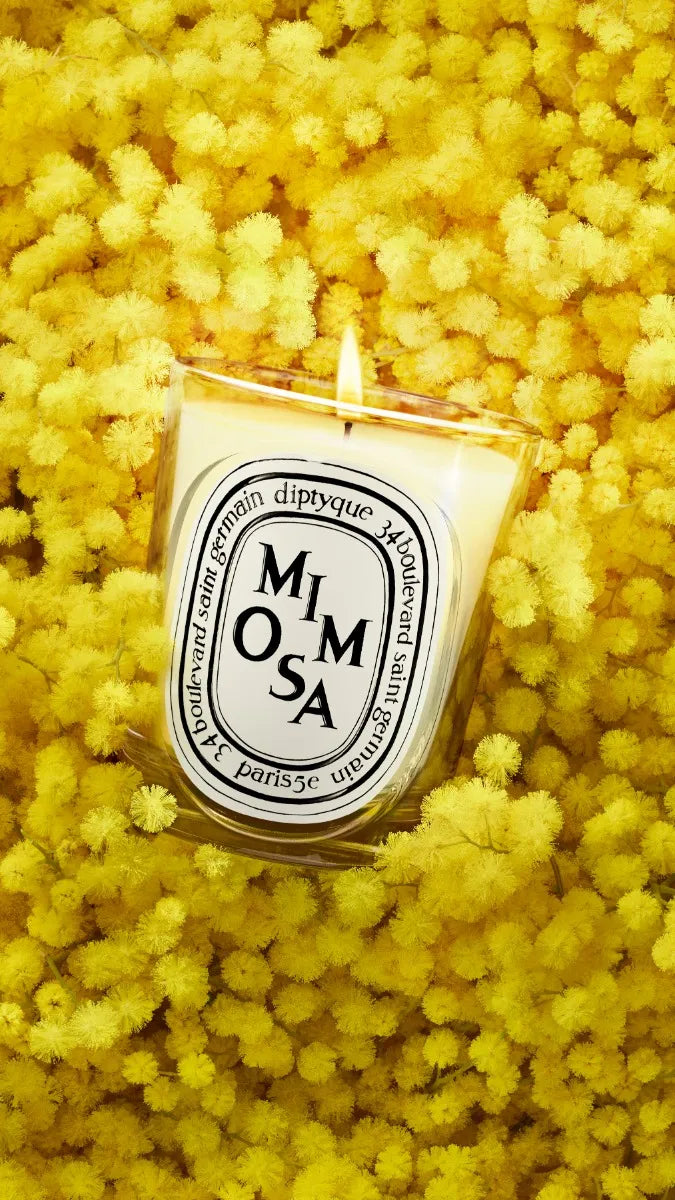 Diptyque Mimosa Scented Candle 190g styled official image