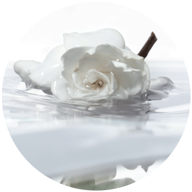Issey Miyake L’Eau d’Issey Eau de Toilette styled water and flower image