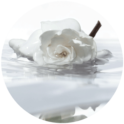 Issey Miyake L’Eau d’Issey Eau de Toilette styled water and flower image