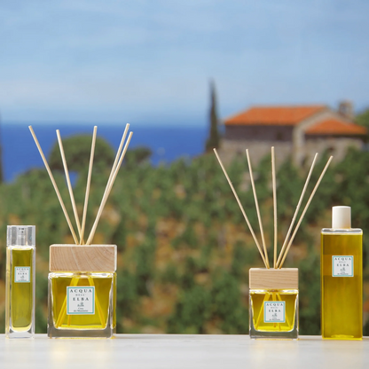 Room Spray - Acqua Dell'Elba - Acqua Dell'Elba Limonaia Di Sant'Andrea Room Spray 100mL - The Gift Company