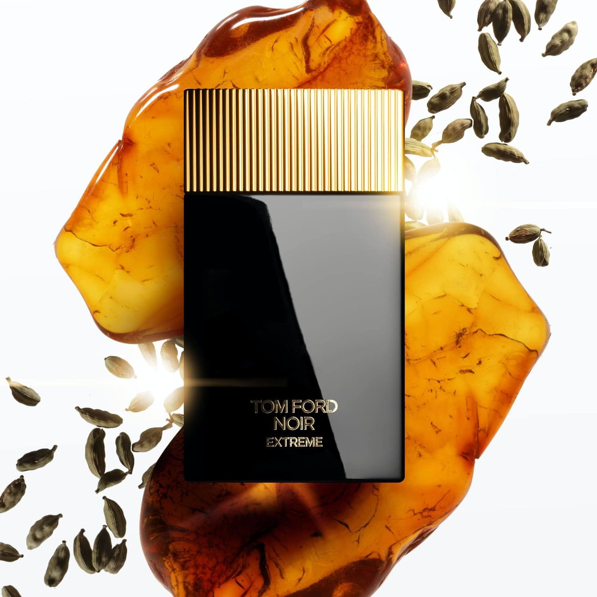 Tom Ford Noir Extreme Eau de Parfum 50mL