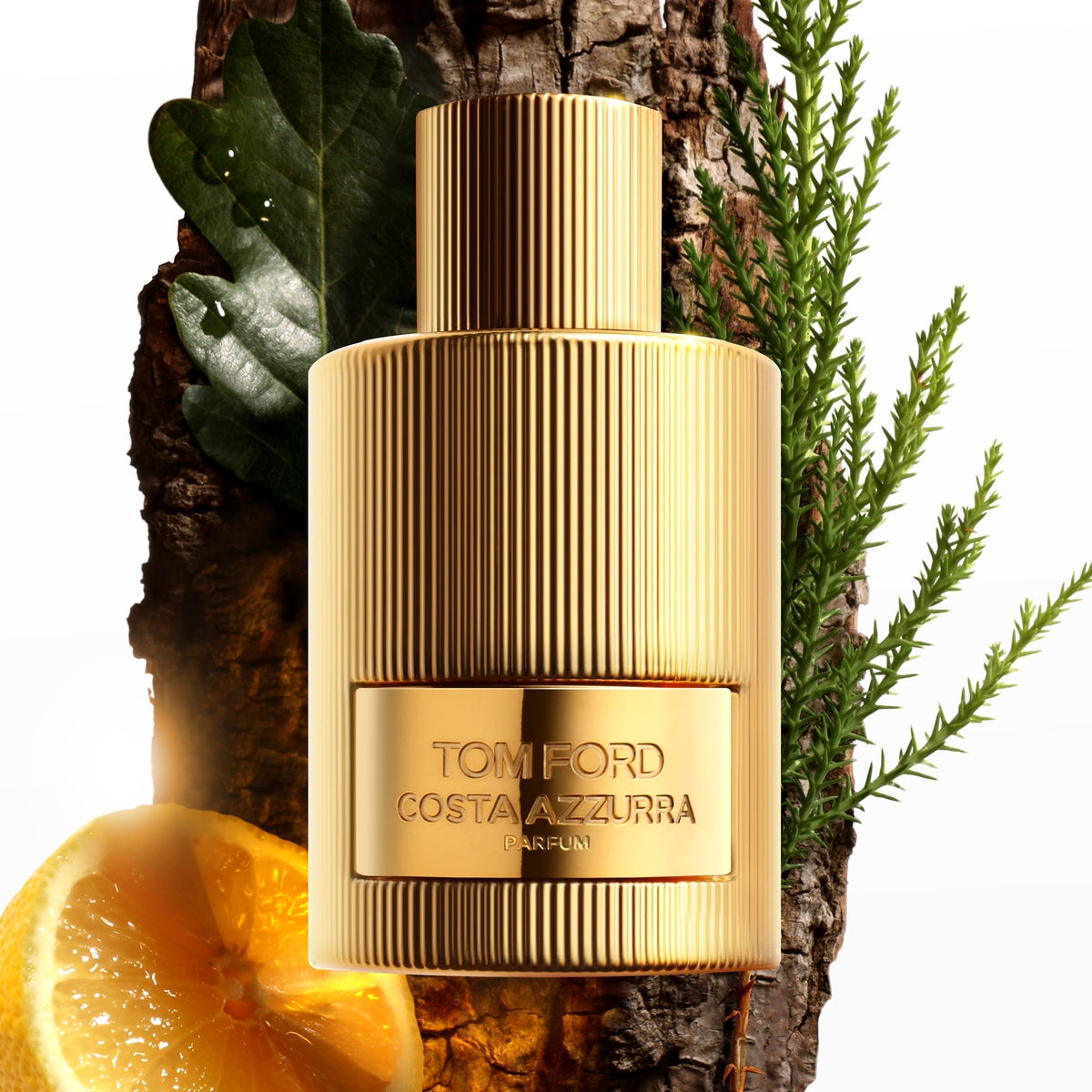 Tom Ford Costa Azzurra Parfum 100mL